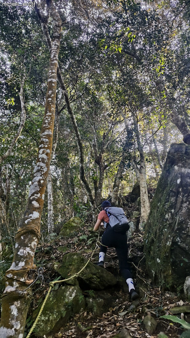 新竹冷門登山路線 | 滿滿竹林 |鬼澤山