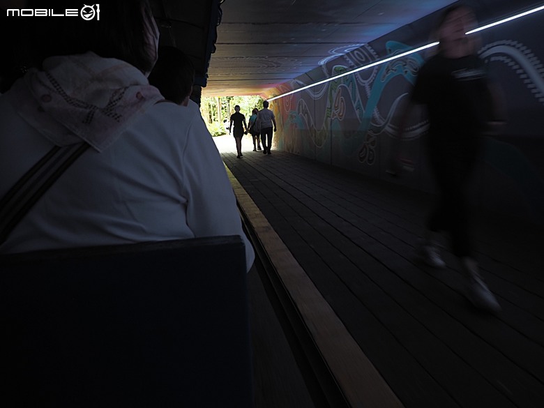 黃金海岸之庫倫濱野生動物園 (Currumbin Wildlife Sanctuary)、伯利角沙灘 (Burleigh Beach Cove)、大嘴鳥餵食秀(Pelican Feeding),附掛澳式炸魚餐與越南河粉料理 — 2026東澳洲四大城巡遊之黃金海岸段 第1部