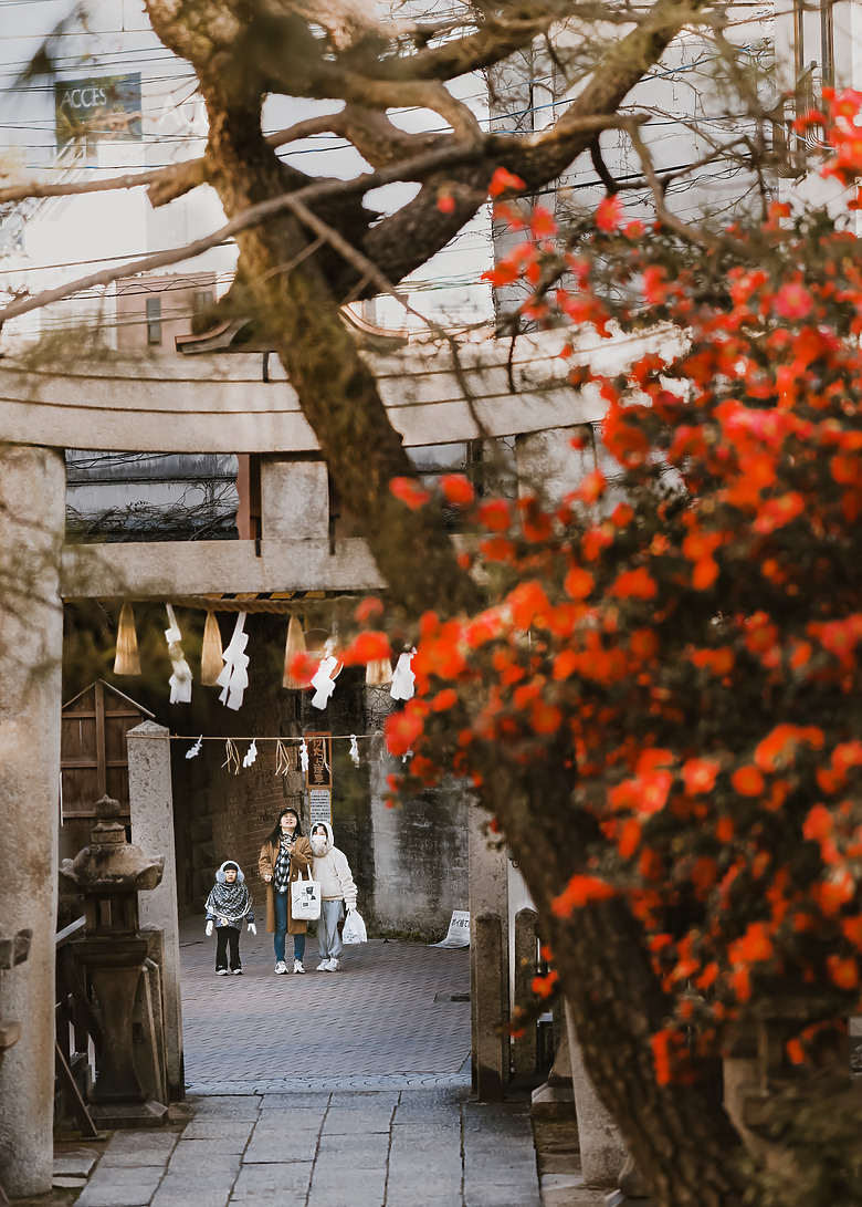 「 Nikon Z7 ll 」 瀨戶內海 × 山陽本線：時光慢行的日本小城之旅