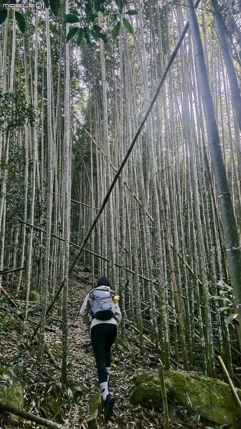 新竹冷門登山路線 | 滿滿竹林 |鬼澤山