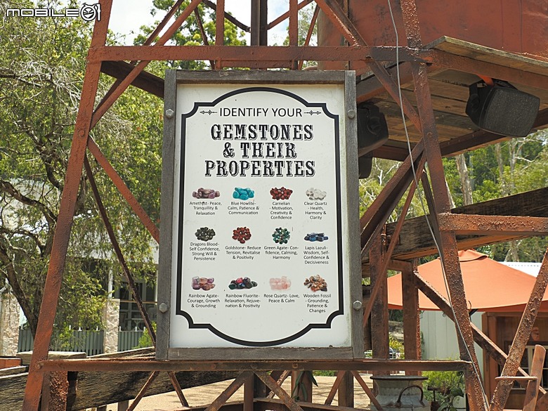 黃金海岸之庫倫濱野生動物園 (Currumbin Wildlife Sanctuary)、伯利角沙灘 (Burleigh Beach Cove)、大嘴鳥餵食秀(Pelican Feeding),附掛澳式炸魚餐與越南河粉料理 — 2026東澳洲四大城巡遊之黃金海岸段 第1部