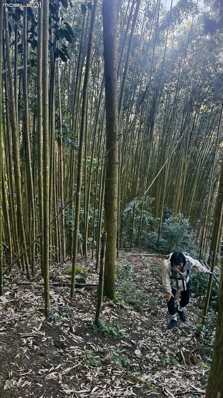 新竹冷門登山路線 | 滿滿竹林 |鬼澤山