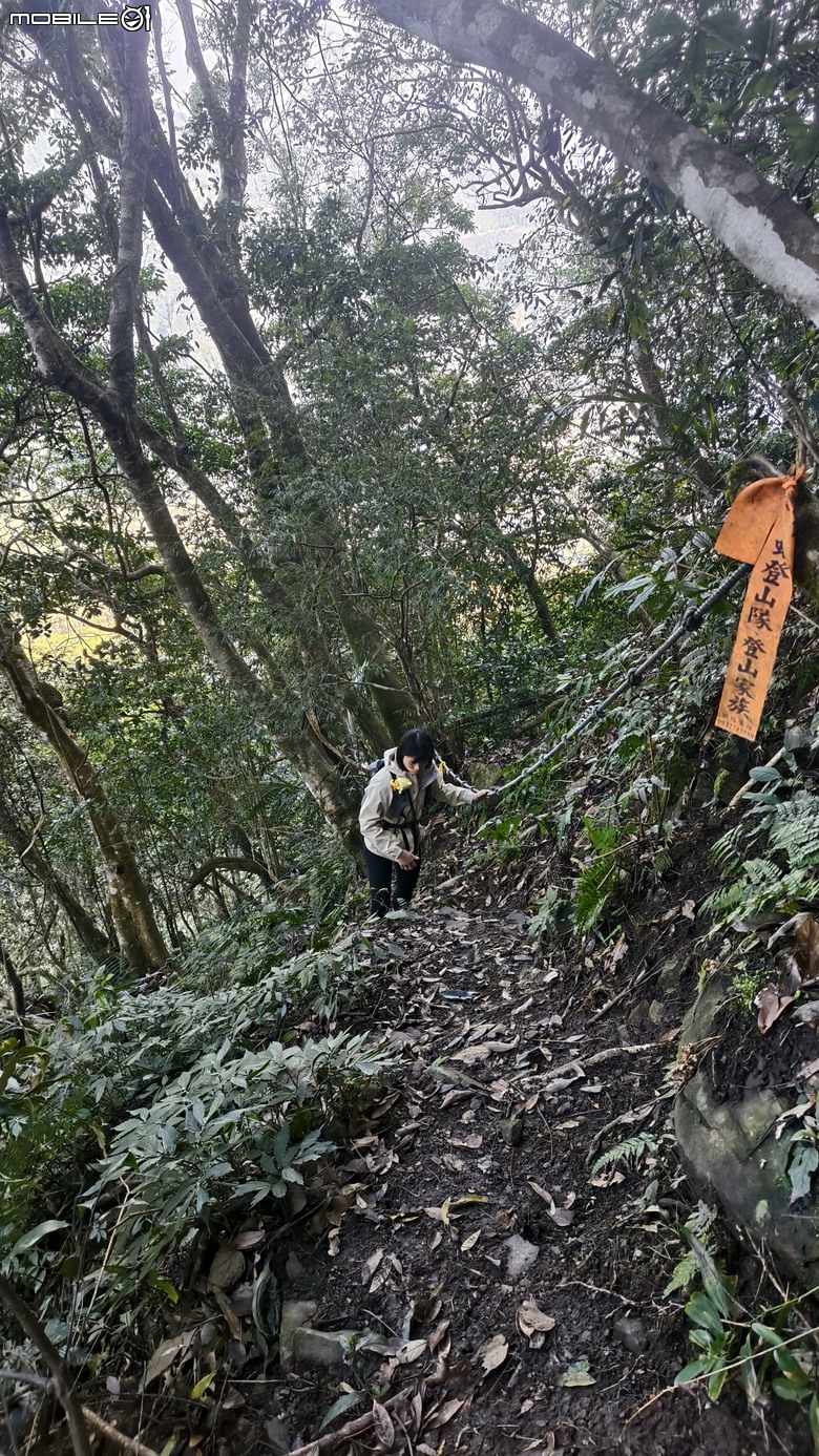 新竹冷門登山路線 | 滿滿竹林 |鬼澤山
