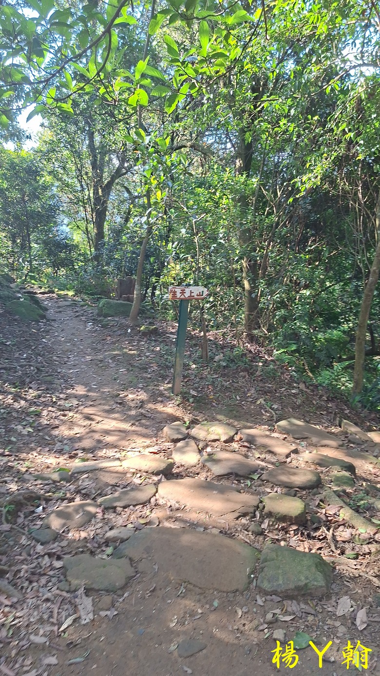 【台灣小百岳】太極嶺、五城山、天上山 環狀走，360度環繞景緻