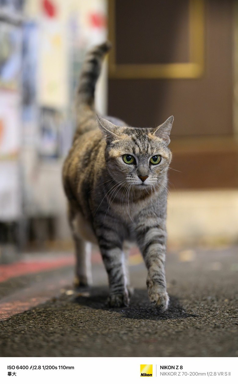 Part1. Z70-200mm f2.8SII 小黑Z的終極進化-深度解析及一代對比