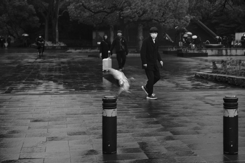 [分享] 當旅遊照少了色彩(上) — Leica M10
