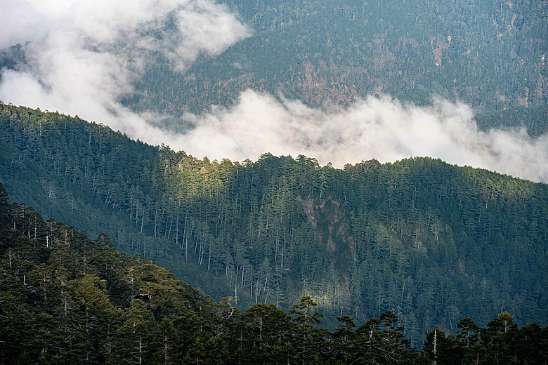 小旅行 with Nikon ZR