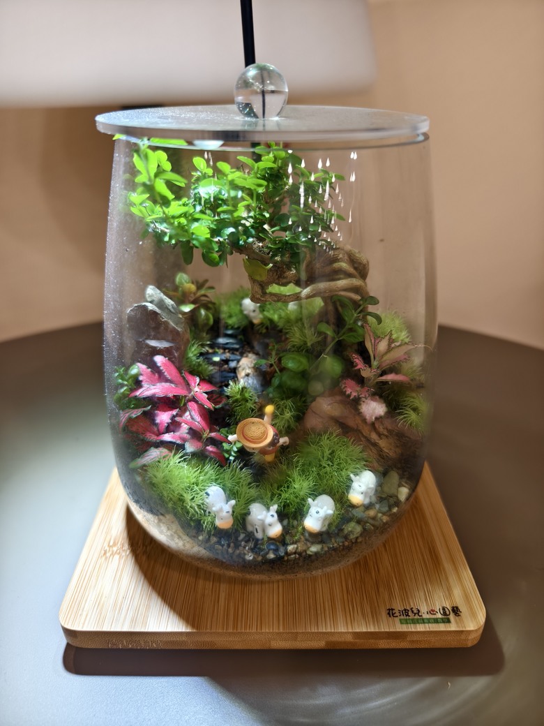 在房產版鼓吹不買房，我應該是第一人