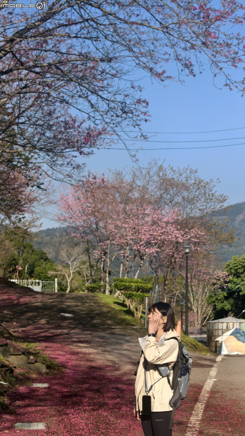 新竹冷門登山路線 | 滿滿竹林 |鬼澤山