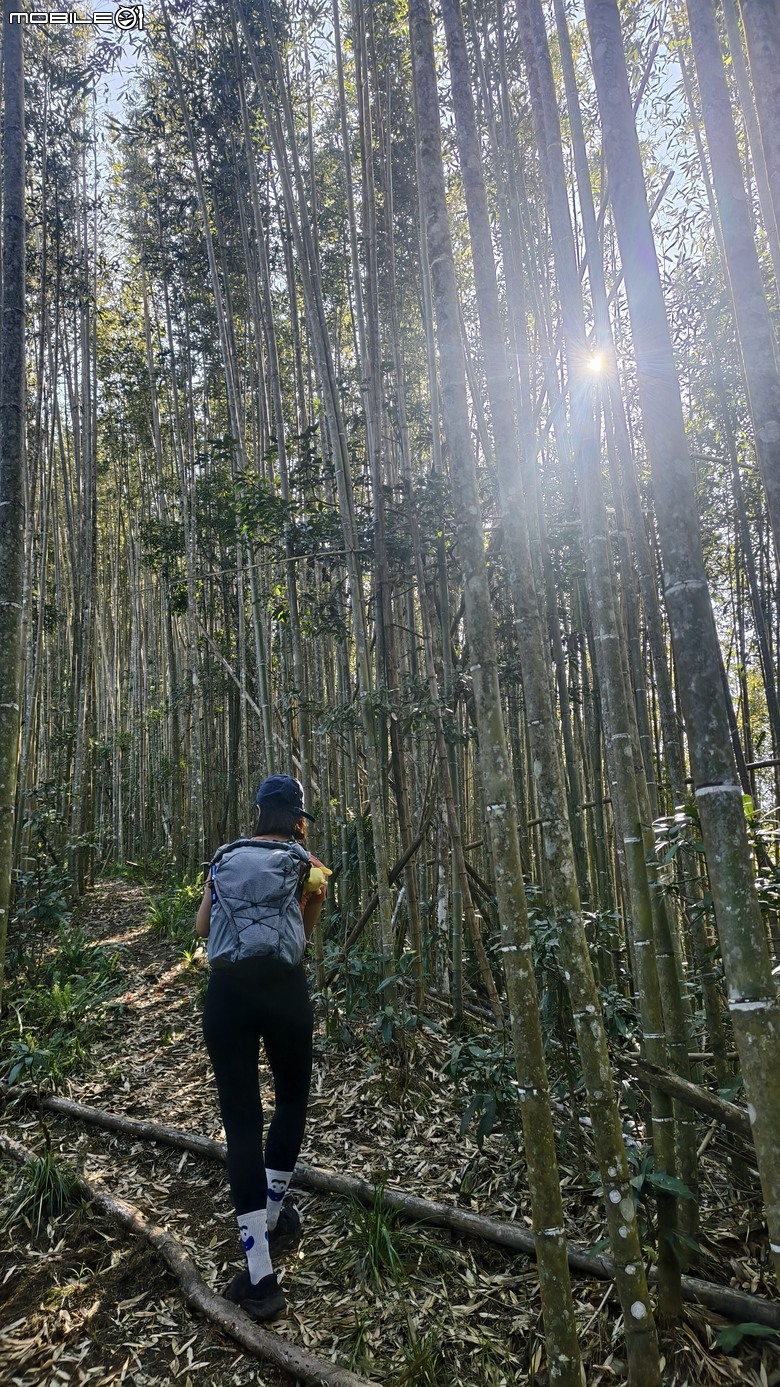 新竹冷門登山路線 | 滿滿竹林 |鬼澤山