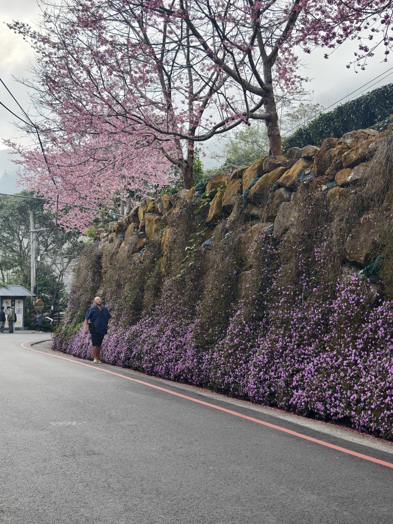 在房產版鼓吹不買房，我應該是第一人