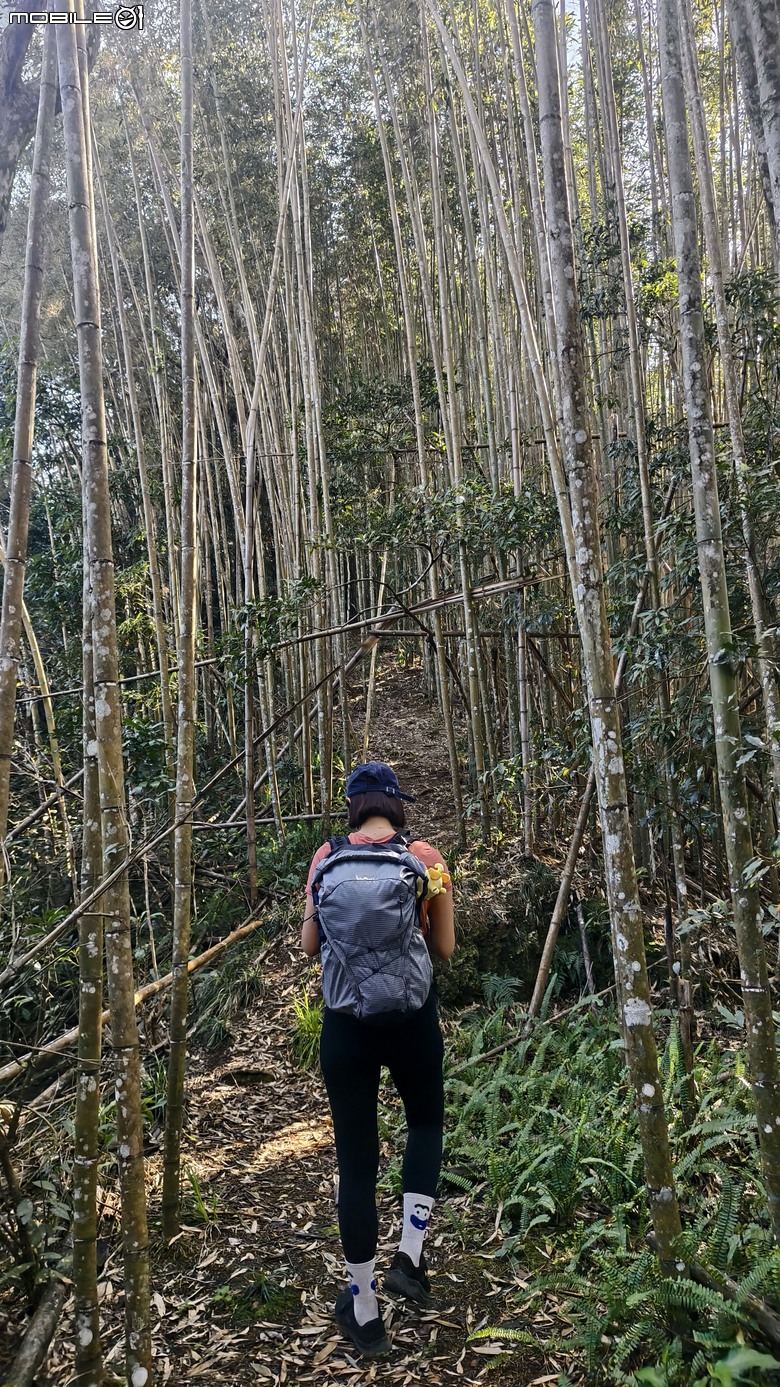 新竹冷門登山路線 | 滿滿竹林 |鬼澤山