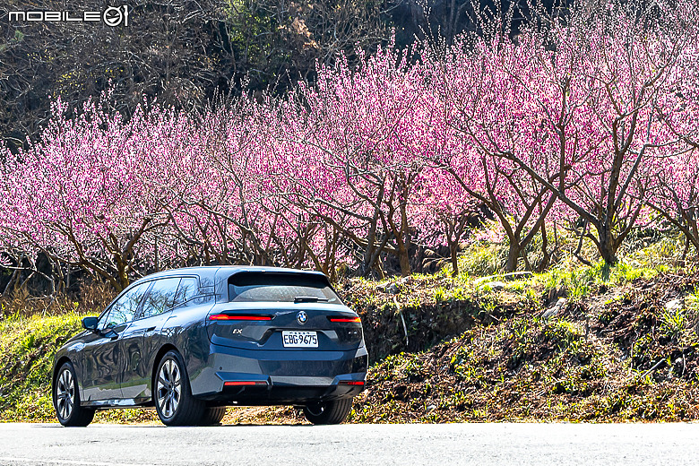 BMW iX xDrive45 Excellence 試駕｜與純電旗艦共遊武陵賞花海！