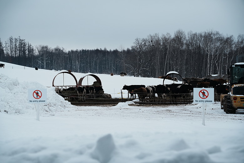 2026 北海道12天小蜜月 (中)『美瑛 & 旭川自駕遊』