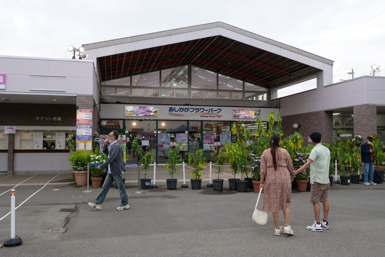 国営ひたち海浜公園 足利花卉公園 一日雙園行