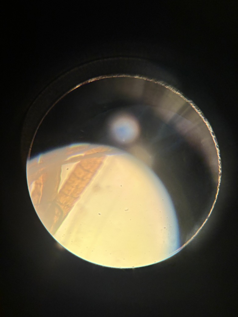 孩子的微觀世界啟蒙，老光學顯微鏡的AI數位化DIY開箱