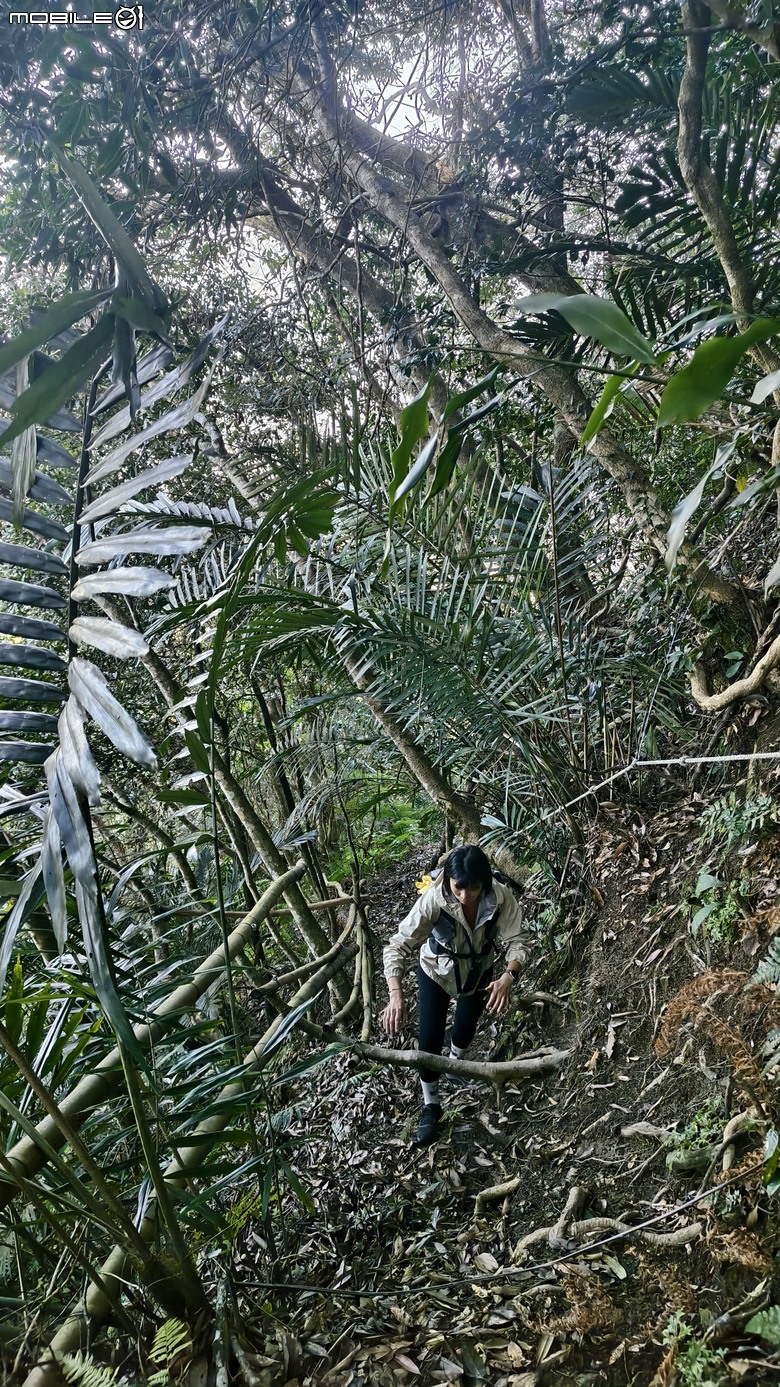 新竹冷門登山路線 | 滿滿竹林 |鬼澤山