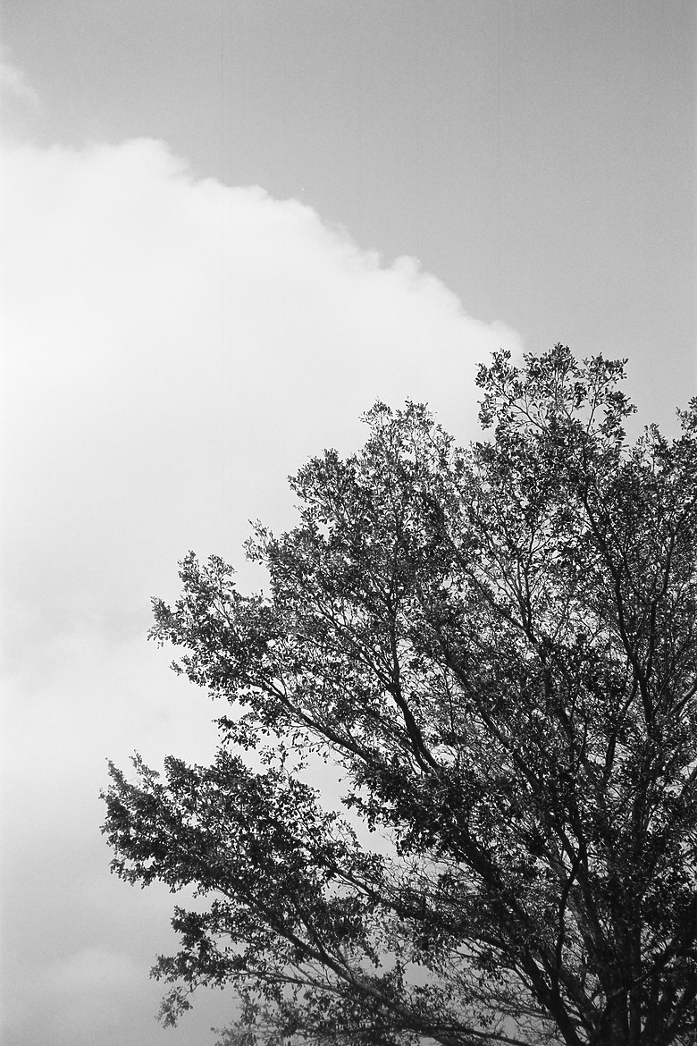 富士告別底片黃金年代的完美句點｜Fujifilm Klasse 25 週年回顧