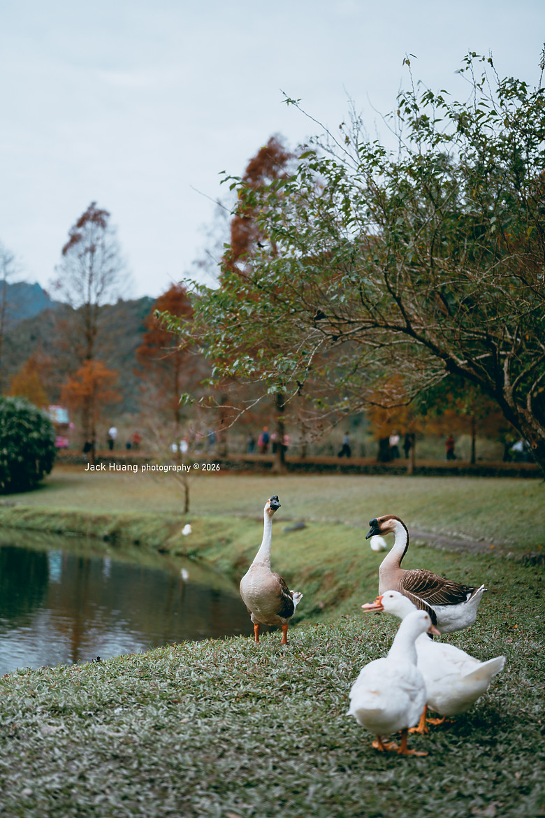 拍鳥成就解鎖好地方 蘭陽動植物王國