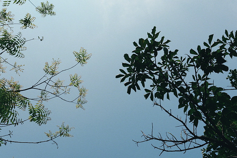 點我看大圖