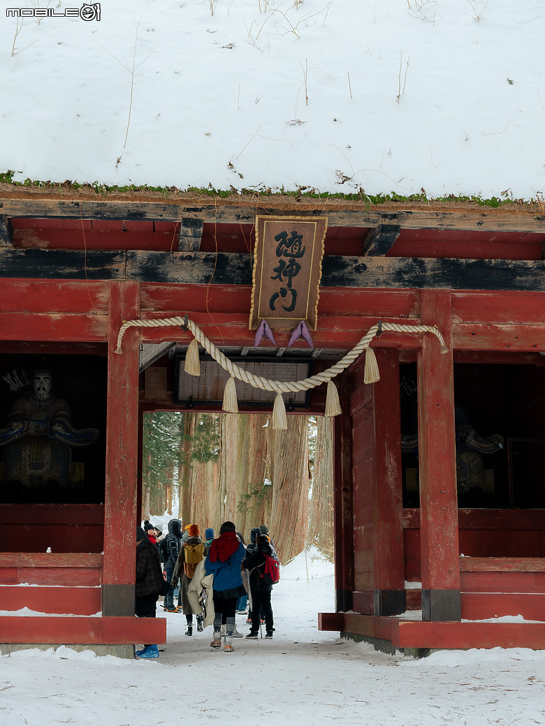 徠卡SL2s北陸冬戀--戶隱之森篇