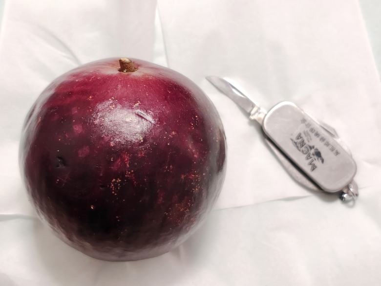 把握當下－－小雲豹摩托車環島出走(1)