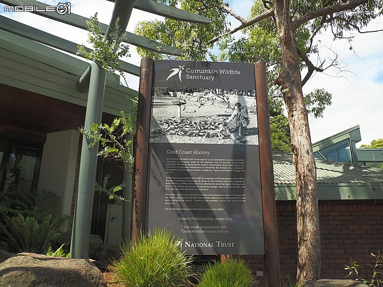 黃金海岸之庫倫濱野生動物園 (Currumbin Wildlife Sanctuary)、伯利角沙灘 (Burleigh Beach Cove)、大嘴鳥餵食秀(Pelican Feeding),附掛澳式炸魚餐與越南河粉料理 — 2026東澳洲四大城巡遊之黃金海岸段 第1部