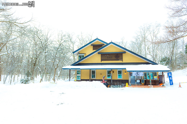 徠卡SL2s北陸冬戀--戶隱之森篇