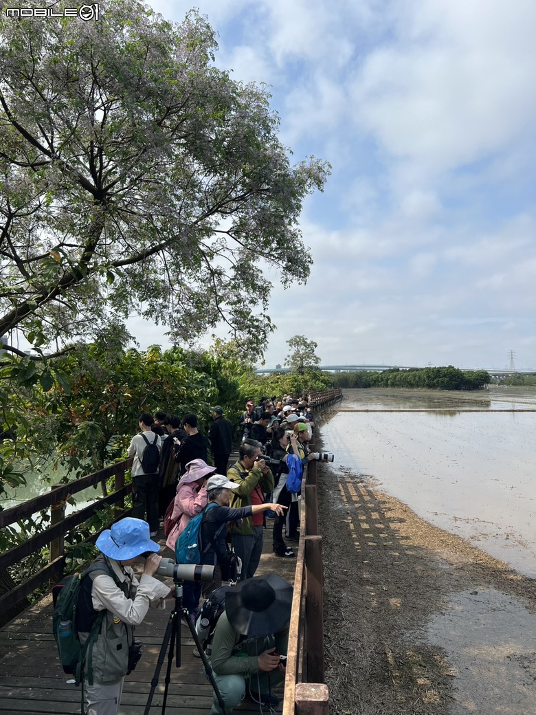 城市邊緣的飛羽蹤跡:蔡司 Victory Pocket 與立農濕地的一期一會