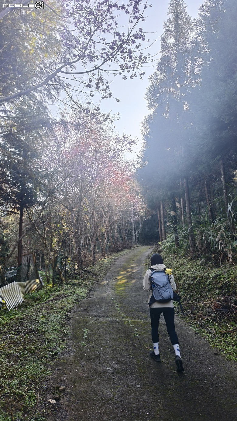 新竹冷門登山路線 | 滿滿竹林 |鬼澤山