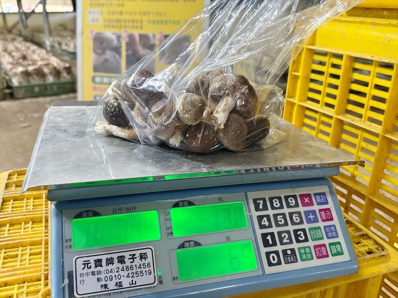 新社半日遊，米其林和必比登推薦火鍋，還有多樣功夫菜，親子採菇趣、寵物友善