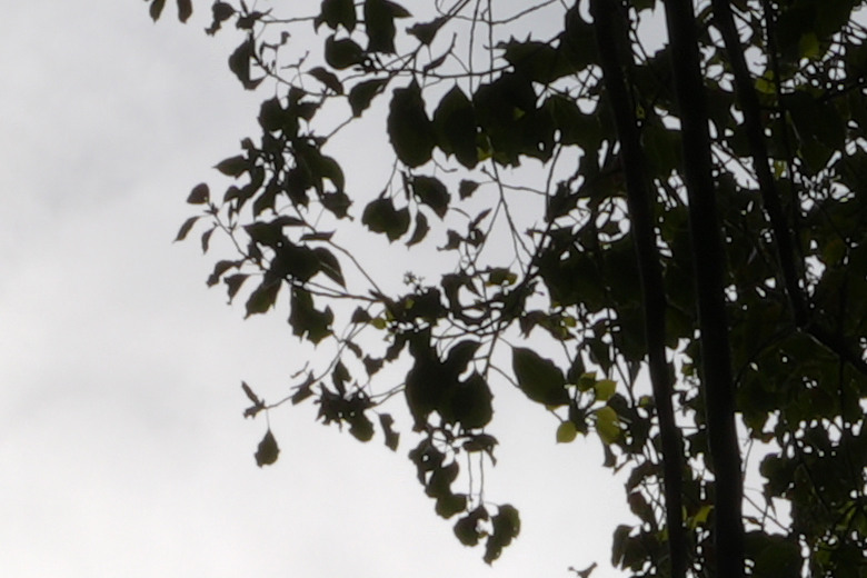 Sigma 35mm F1.4 DG II Art 評測報告｜輕量化有感、更有光學硬實力！