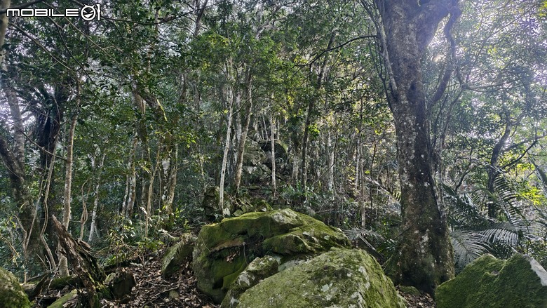 新竹冷門登山路線 | 滿滿竹林 |鬼澤山