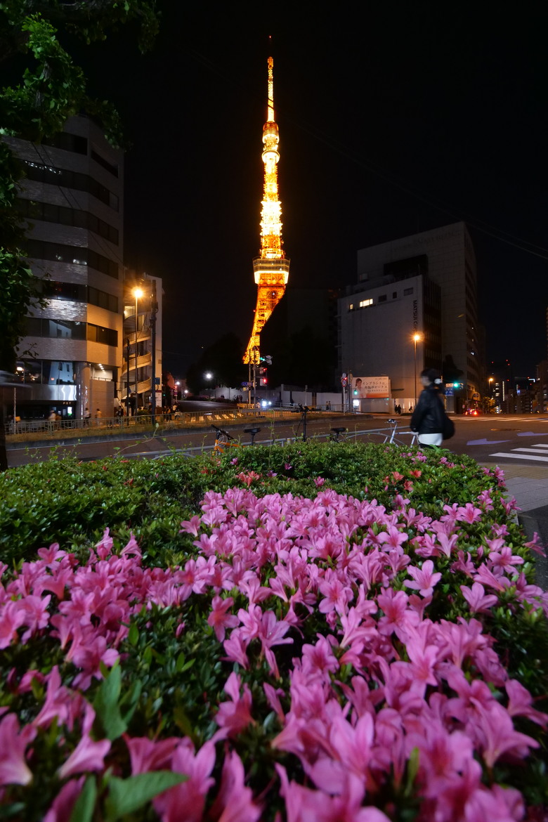 無法取代的經典 東京鐵塔