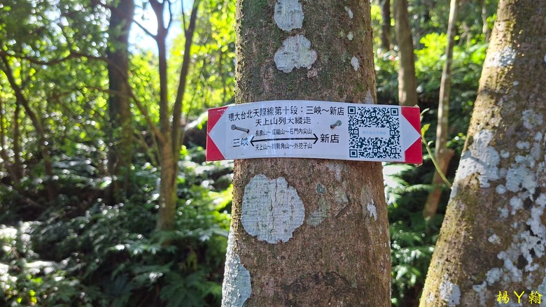 【台灣小百岳】太極嶺、五城山、天上山 環狀走，360度環繞景緻