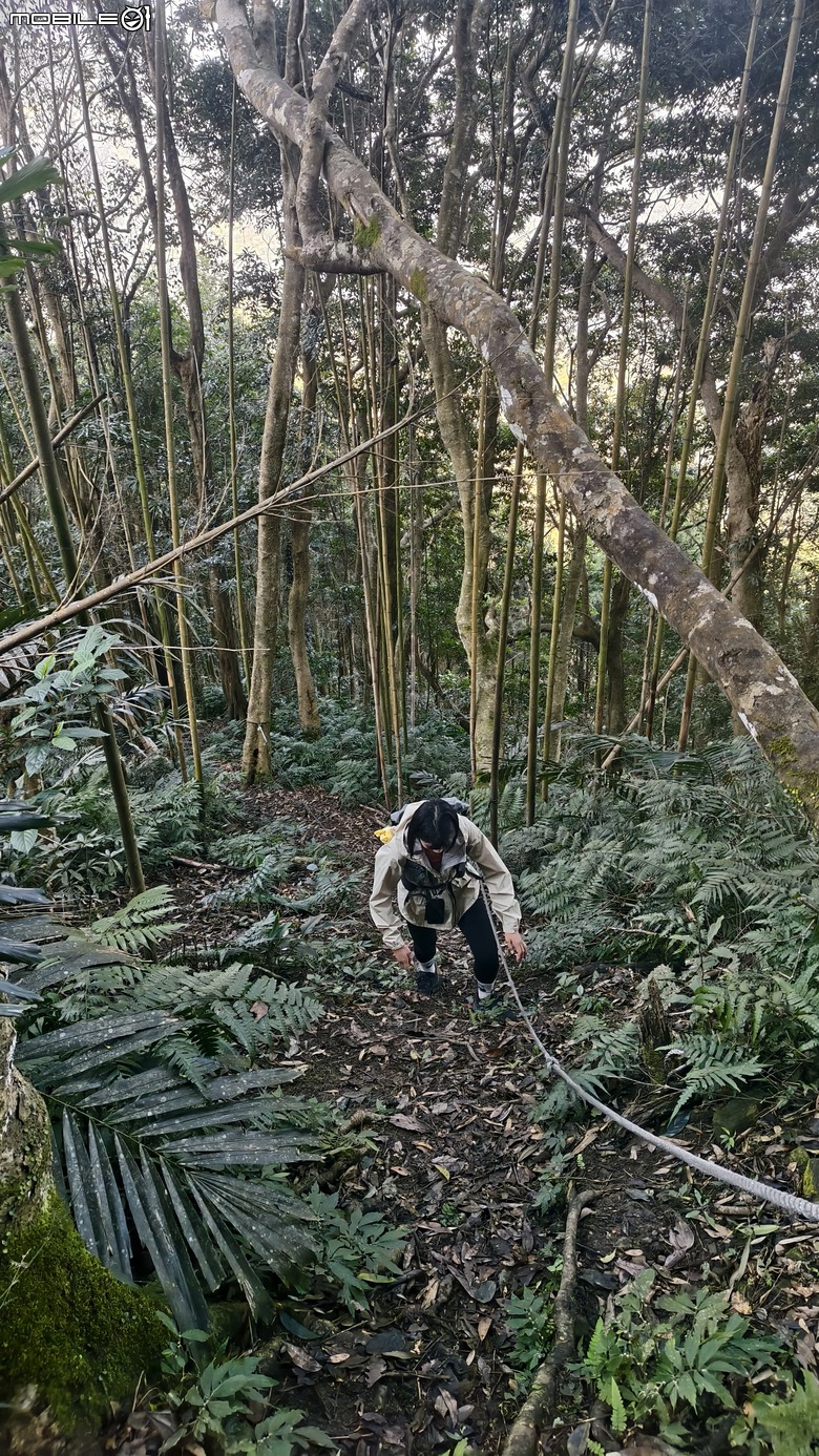新竹冷門登山路線 | 滿滿竹林 |鬼澤山