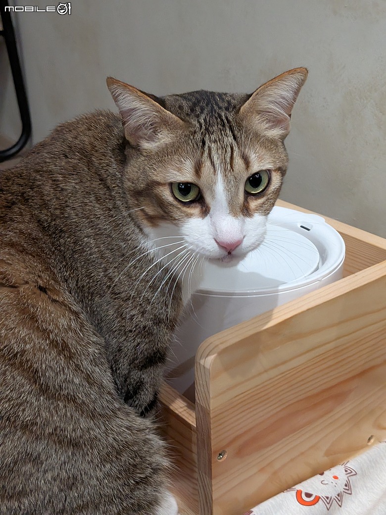 Google Pixel 10a 體驗｜AI 攝影撐場的「抗漲」小改款！