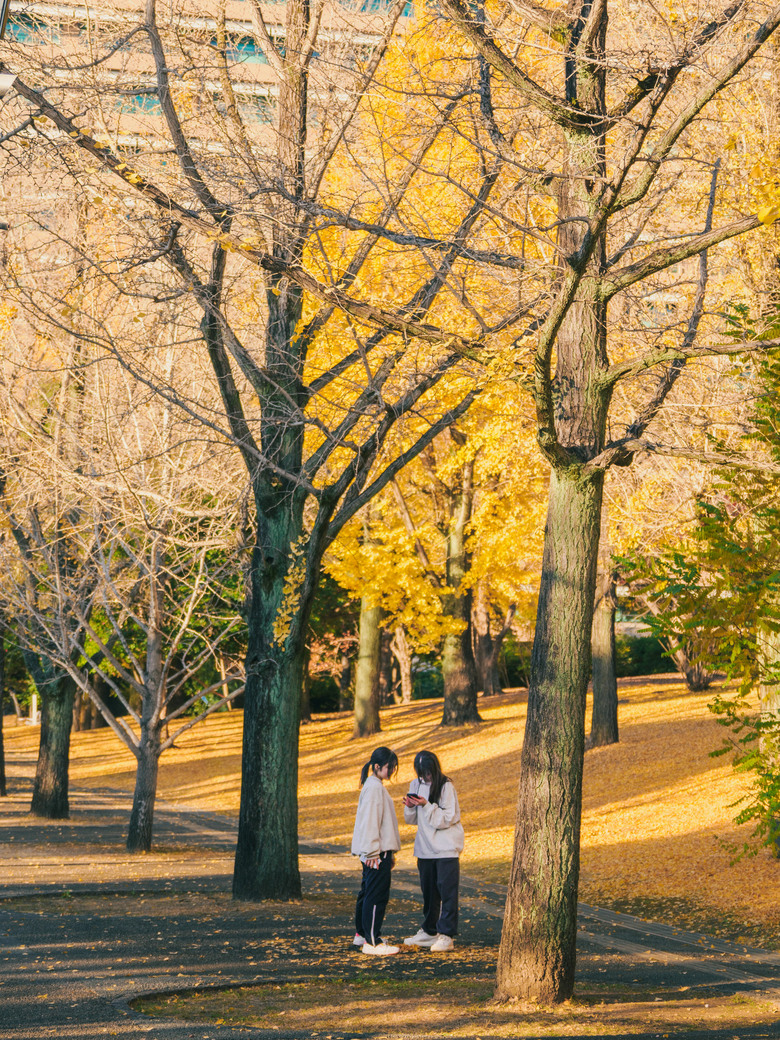 九州之旅 下 OM3+12-100 F4