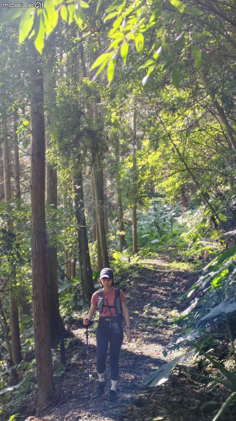 新竹冷門登山路線 | 滿滿竹林 |鬼澤山