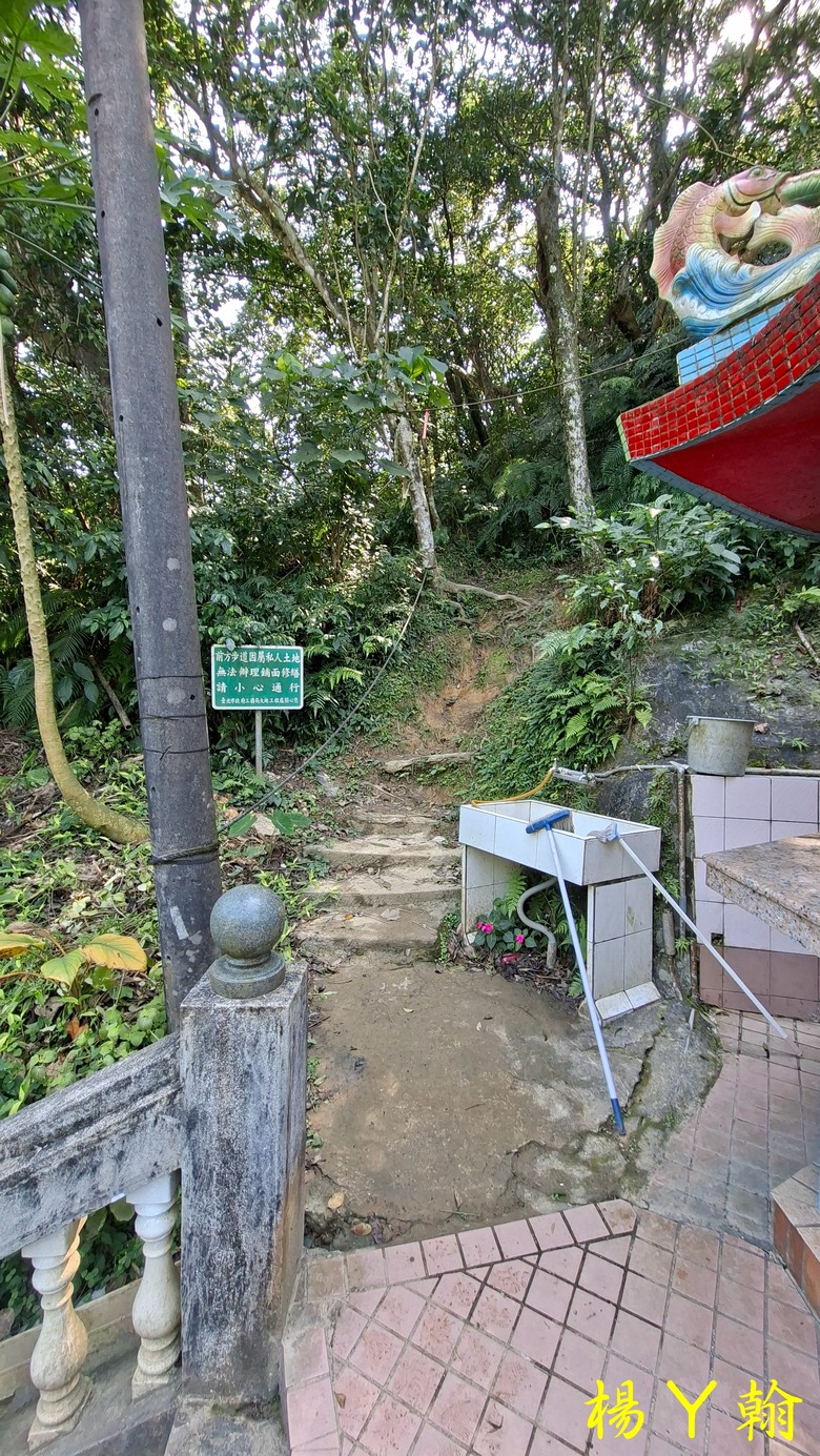 【郊山走走】輕鬆健行內湖7連峰、再賞大湖公園落羽松