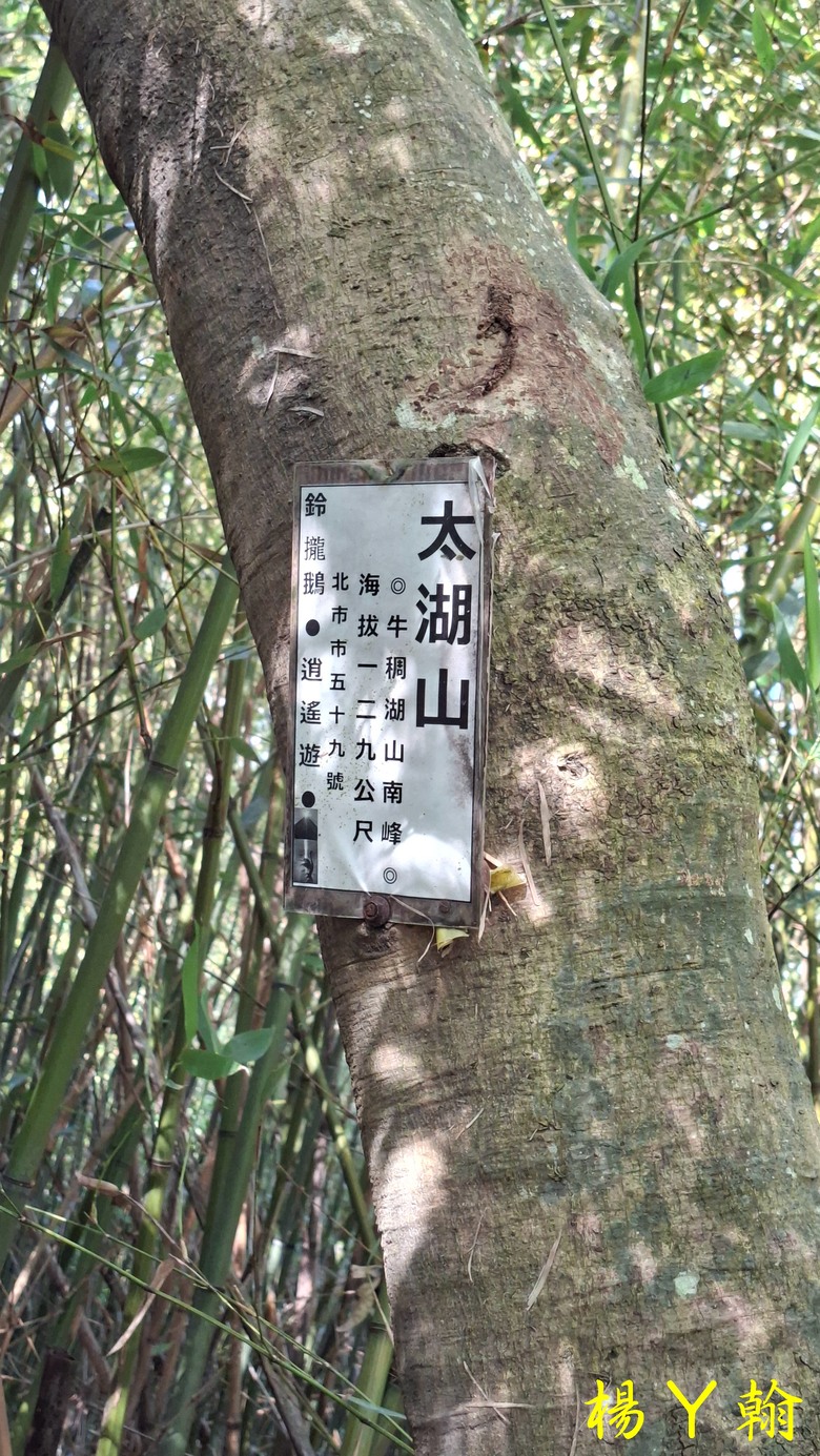 【郊山走走】輕鬆健行內湖7連峰、再賞大湖公園落羽松