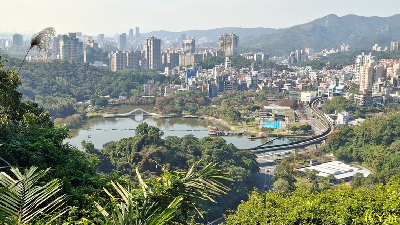 【郊山走走】輕鬆健行內湖7連峰、再賞大湖公園落羽松