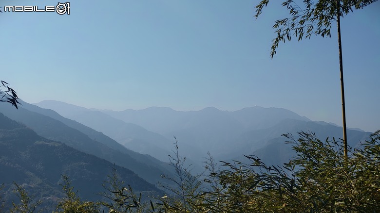 新竹冷門登山路線 | 滿滿竹林 |鬼澤山