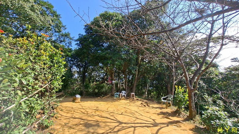 【郊山走走】輕鬆健行內湖7連峰、再賞大湖公園落羽松