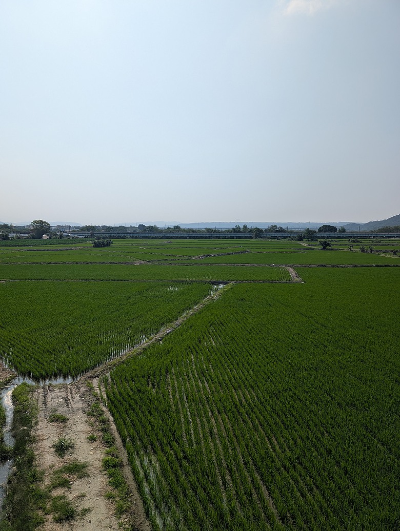 點我看大圖 2026 進香大白 白沙媽進香 地表最強的散步之旅 熱血熬夜12小時