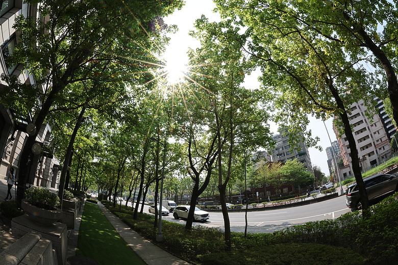 Canon RF 7-14mm F2.8-3.5L Fisheye STM 評測報告｜當圓周遇上對角線、探索 190° 的極限視覺張力！