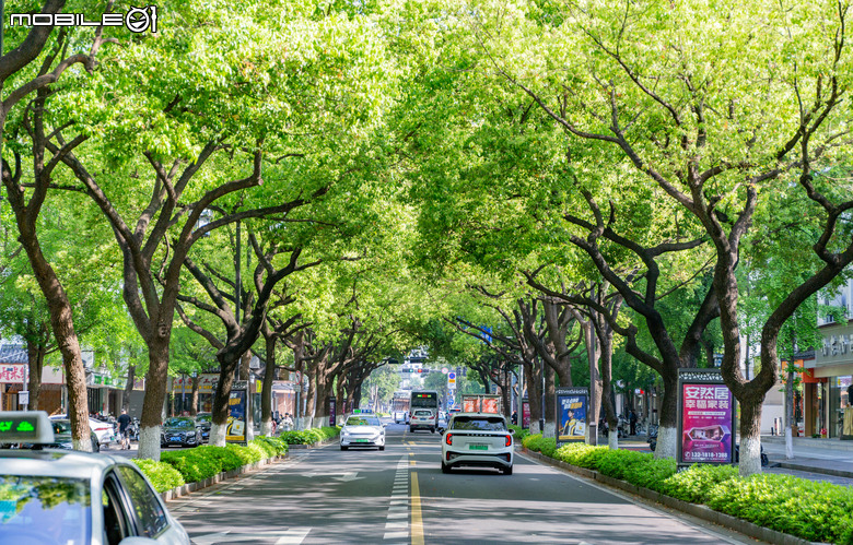 晨曦漫游姑蘇 5D3 +24-70mm F4