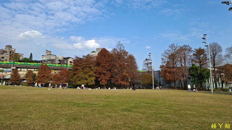 【郊山走走】輕鬆健行內湖7連峰、再賞大湖公園落羽松