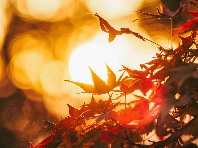 九州之旅 上 OM3+12-100 F4