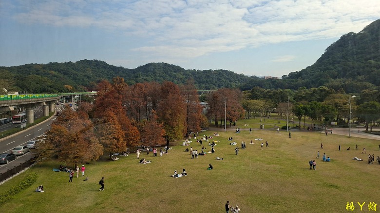 【郊山走走】輕鬆健行內湖7連峰、再賞大湖公園落羽松